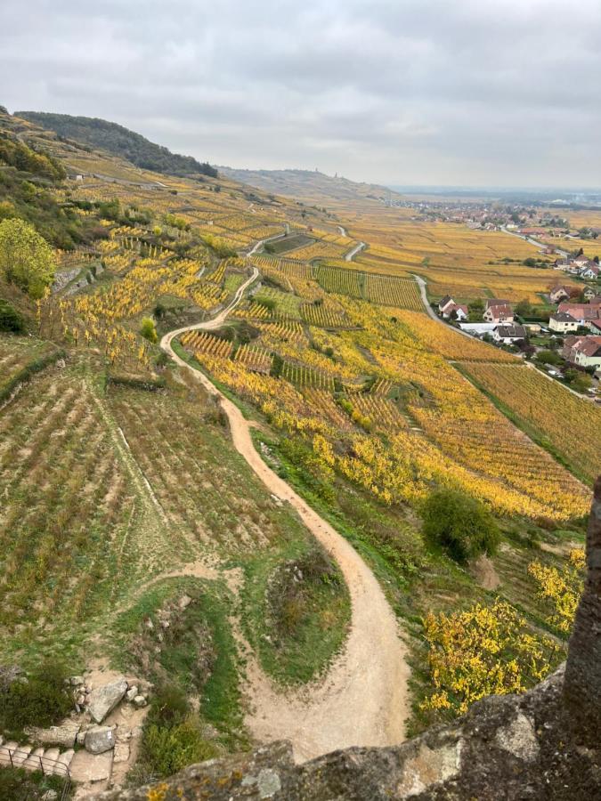 Gite De Montagne -Bellefosse Alsace מראה חיצוני תמונה