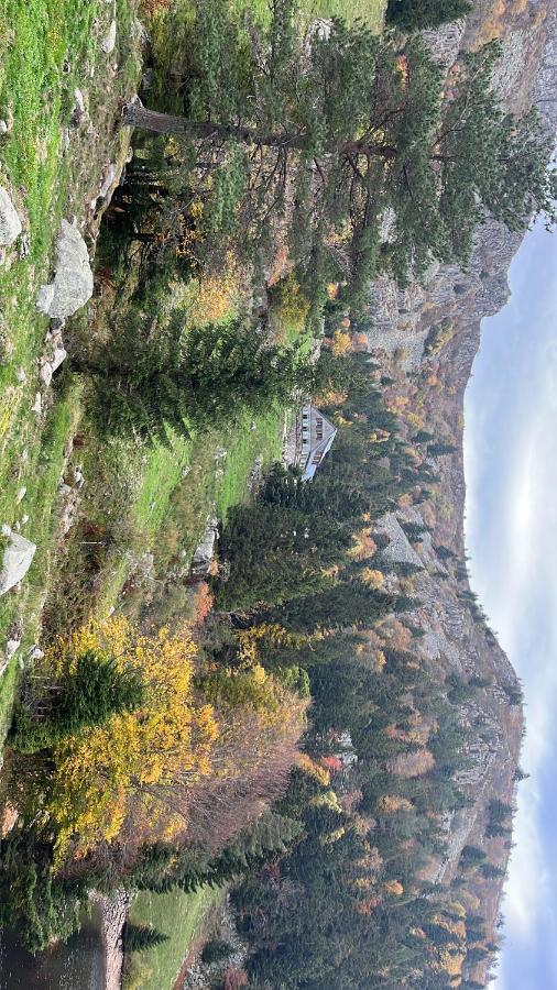 Gite De Montagne -Bellefosse Alsace מראה חיצוני תמונה