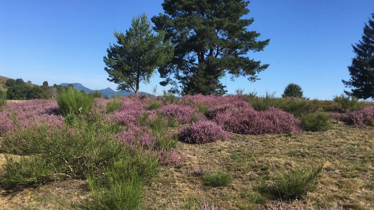 Gite De Montagne -Bellefosse Alsace מראה חיצוני תמונה